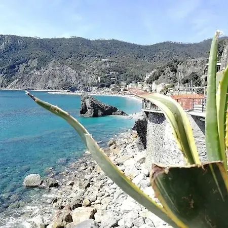 Apartment Cozy Studio Monterosso Al Mare 22 M² With Air Conditioning